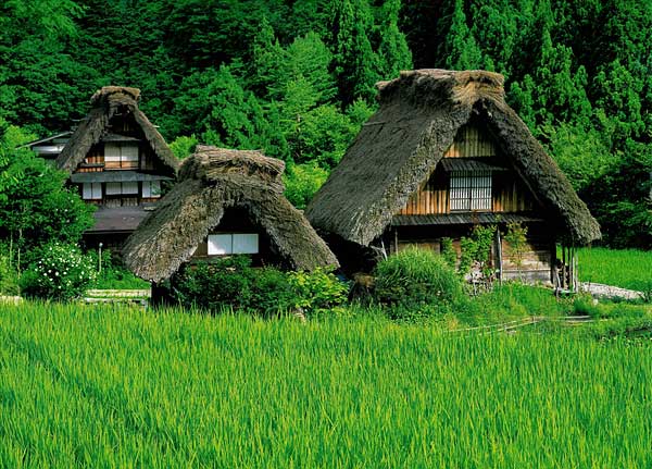 Thatched Roof | Expat Life in Japan