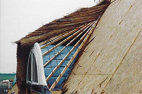 Two serious mistakes: 1. The low inclination of the dormer cover 2. Using short reed with a thick roofing in the upper part of the roof The result: The reed is almost horizontal; water penetrates the roof and makes it moist throughout.