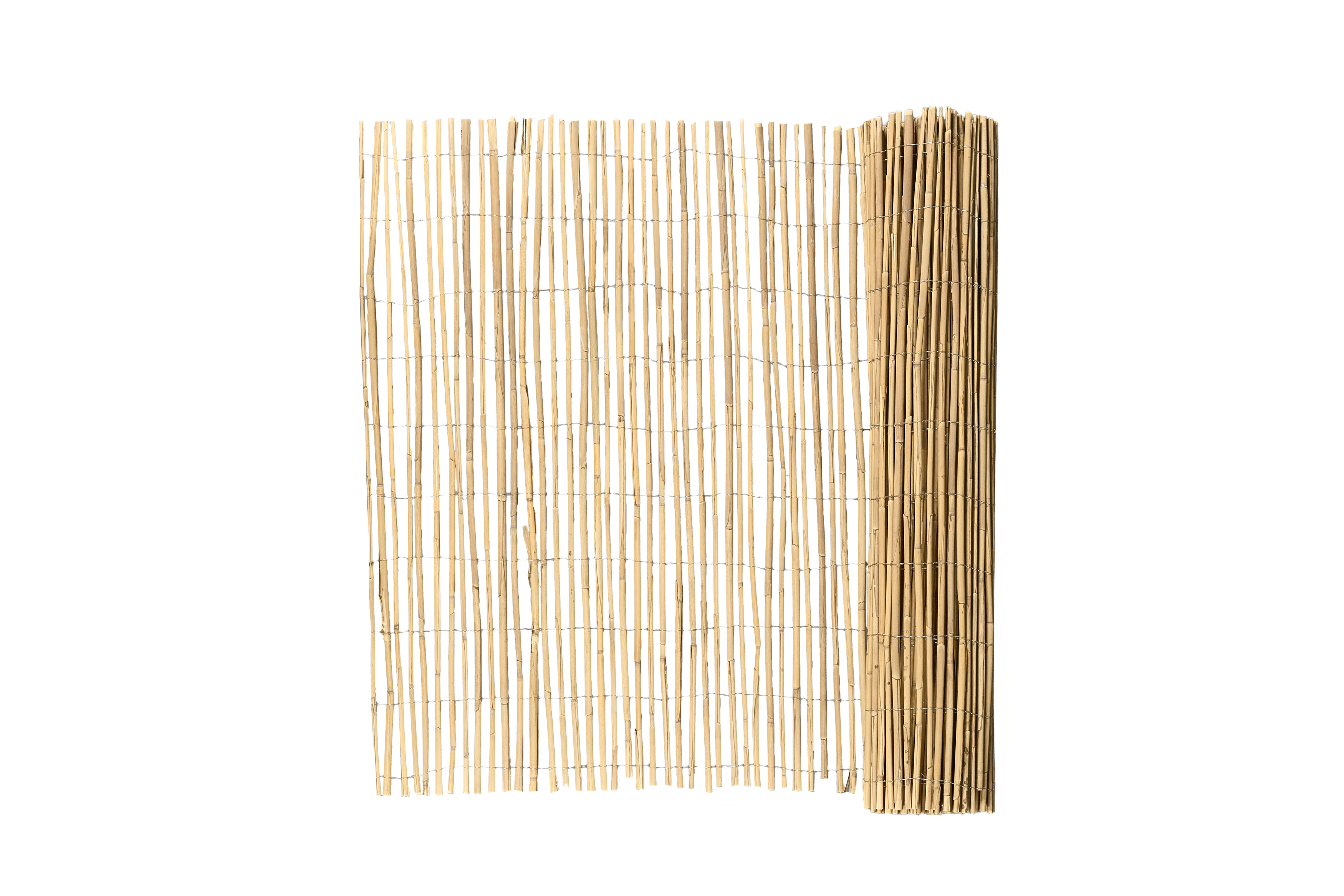 Hiss Reet Schilfrohrgewebe Grob