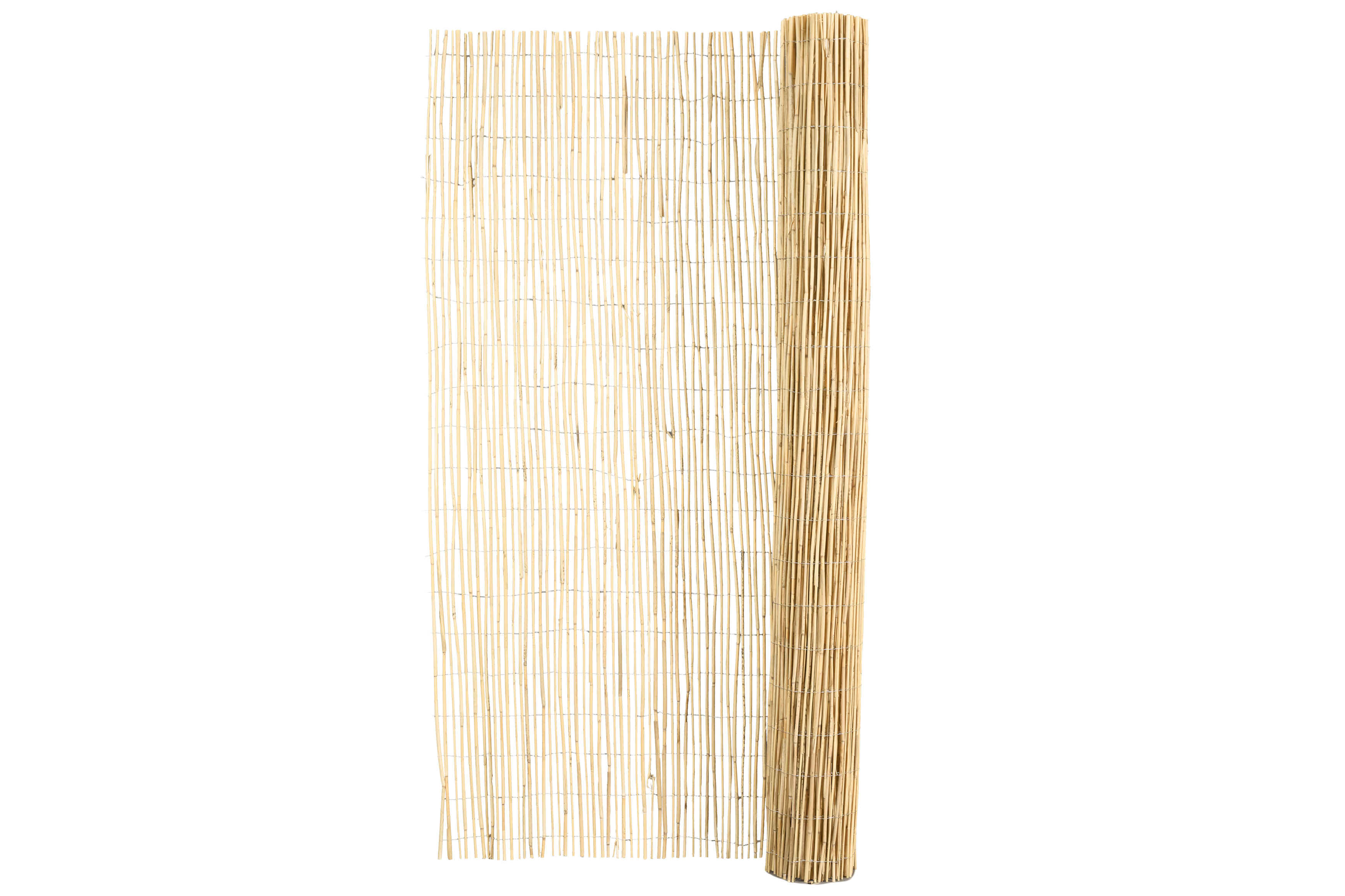 Hiss Reet Schilfrohrgewebe Fein