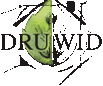 Druwid